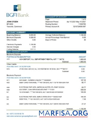 Blank Cameroon BGFI bank statement excel real example
